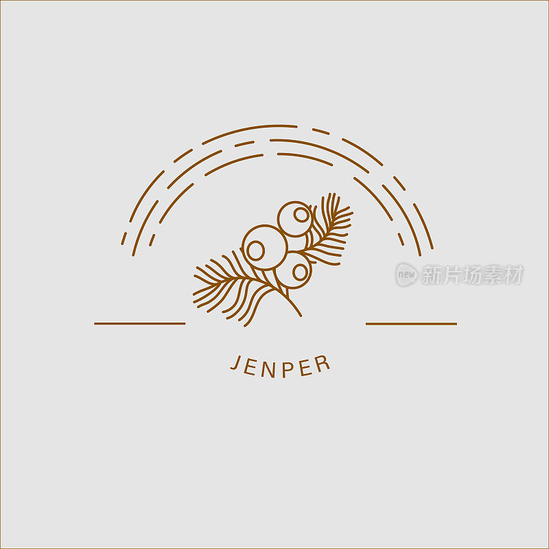 Vector icon and logo for spices and herbs